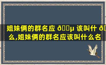 姐妹俩的群名应 🌵 该叫什 🌹 么,姐妹俩的群名应该叫什么名字